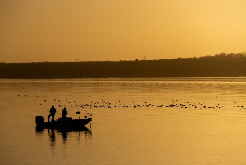 Coots dot Fairfield Lake while people cast their fishing line from a boat during sunset at Fairfield Lake State Park on Feb. 27, 2023.