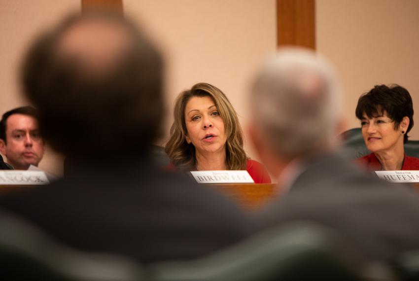 State Sen. Joan Huffman, R-Houston, during a Senate Finance Committee hearing on April 3, 2019.