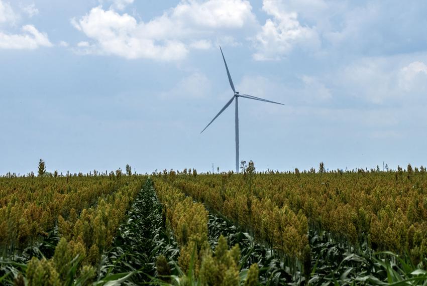 Industrial energy-producing wind turbines cover hundreds of acres of farmland in Lyford on May 17, 2023.