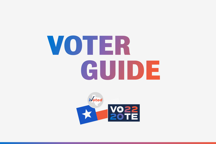 Graphic that reads, "Voter Guide" above a collection of voting stickers.